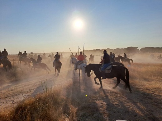 Segundo encierro tradicional. Ferias y Fiestas de San Antolín 2025 // Ismael Lozano